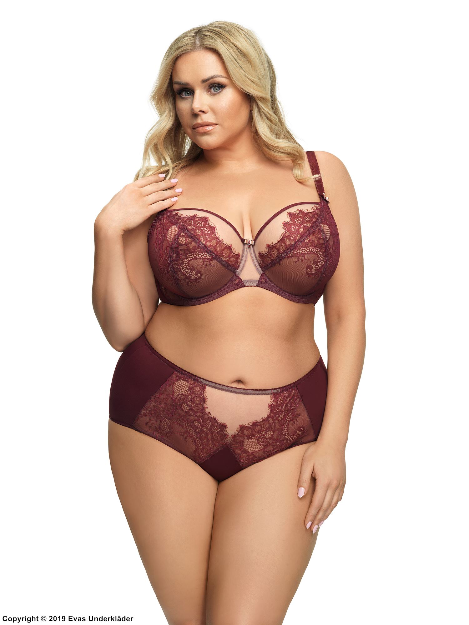 Exclusive full cup bra, mesh, eyelash lace, D to K-cup